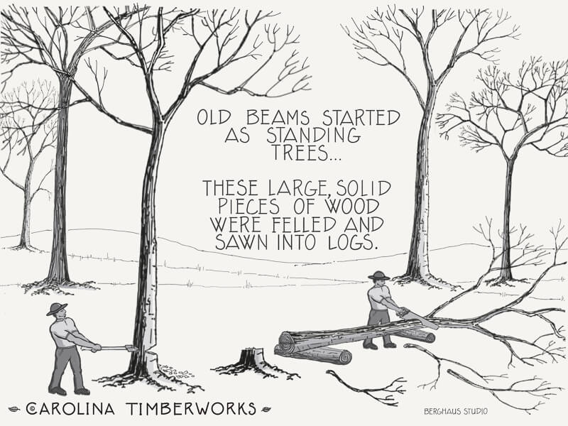 hand hewn beam history